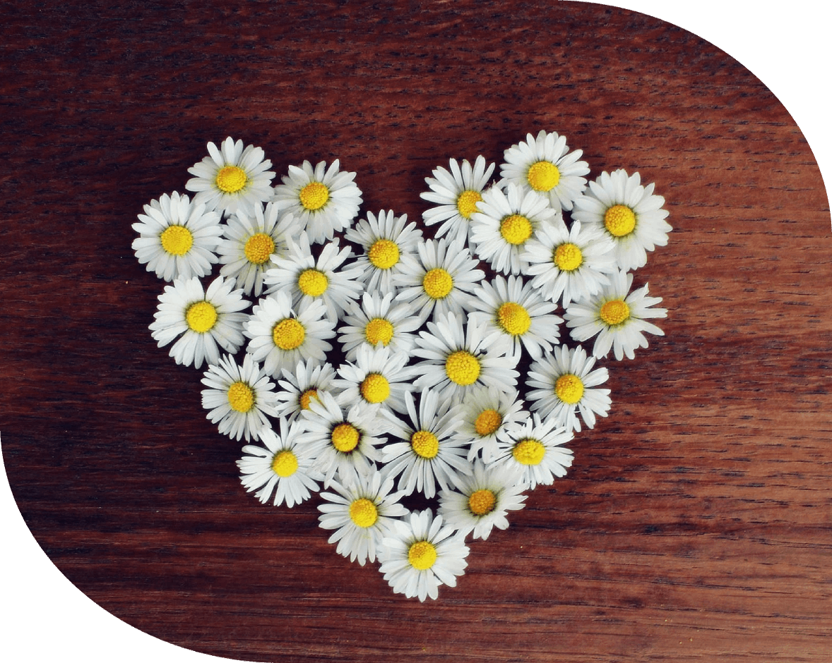Affordable Relationship Therapy in Michigan