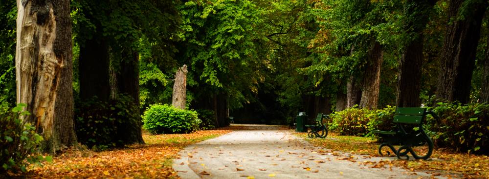How Therapy Helps Build Confidence and Self-Acceptance
