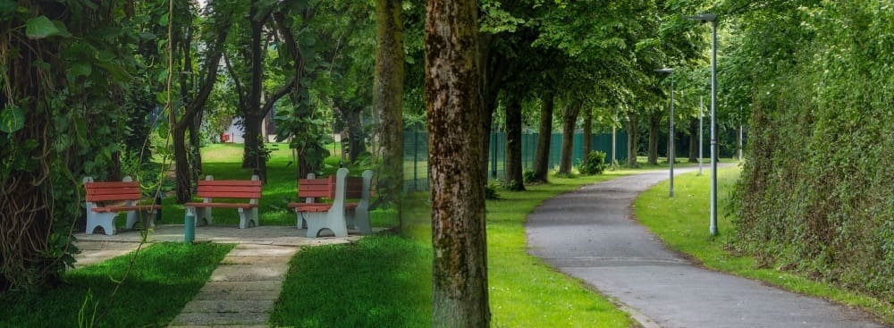 Begin Your Journey Toward Personal Growth