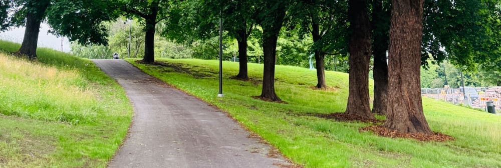 Recognizing Emotional Distance