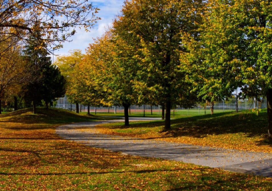 How Marriage Counseling in Royal Oak Can Help You Reconnect